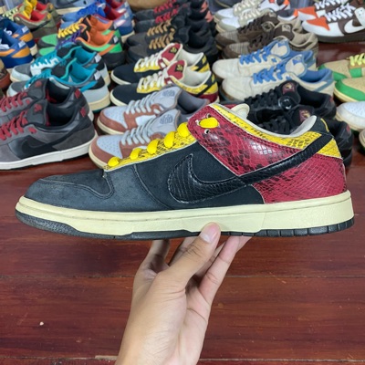 nike sb dunk coral snake
