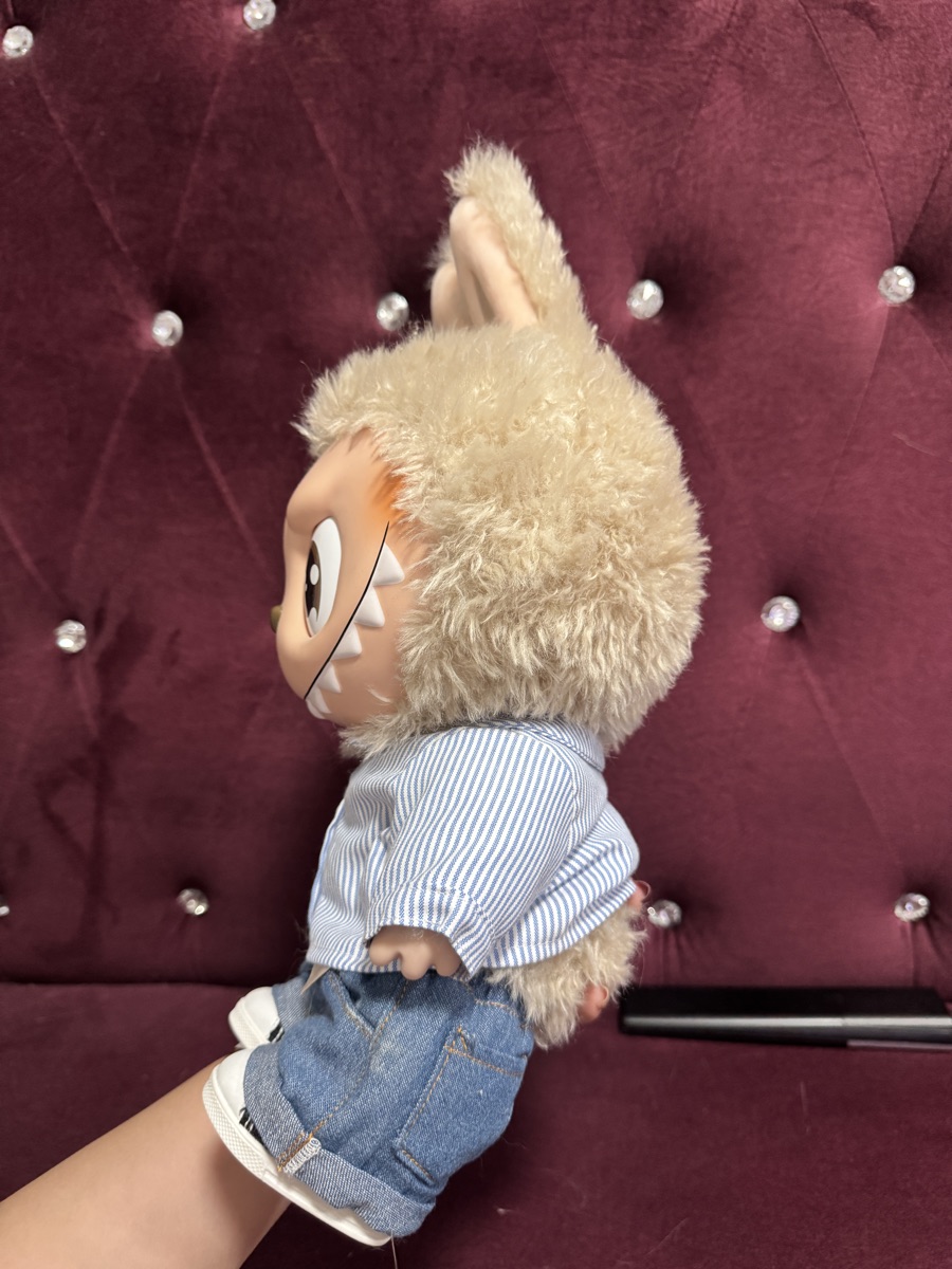 Pop Mart Labubu The Monsters - Flip With Me Vinyl Plush Doll
