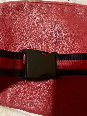 GUCCI Grained Calfskin Small Logo Belt Bag Hibiscus Red 1220023