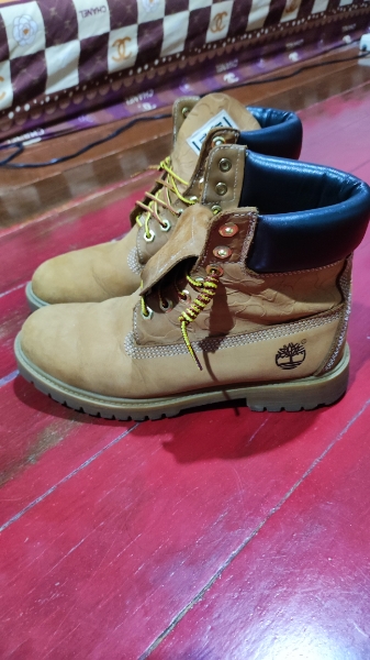 Buy & Sell Timberland 6