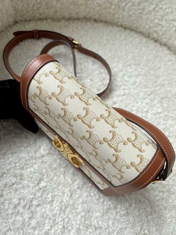 Celine Teen Triomphe Bag In Triomphe Canvas And Calfskin