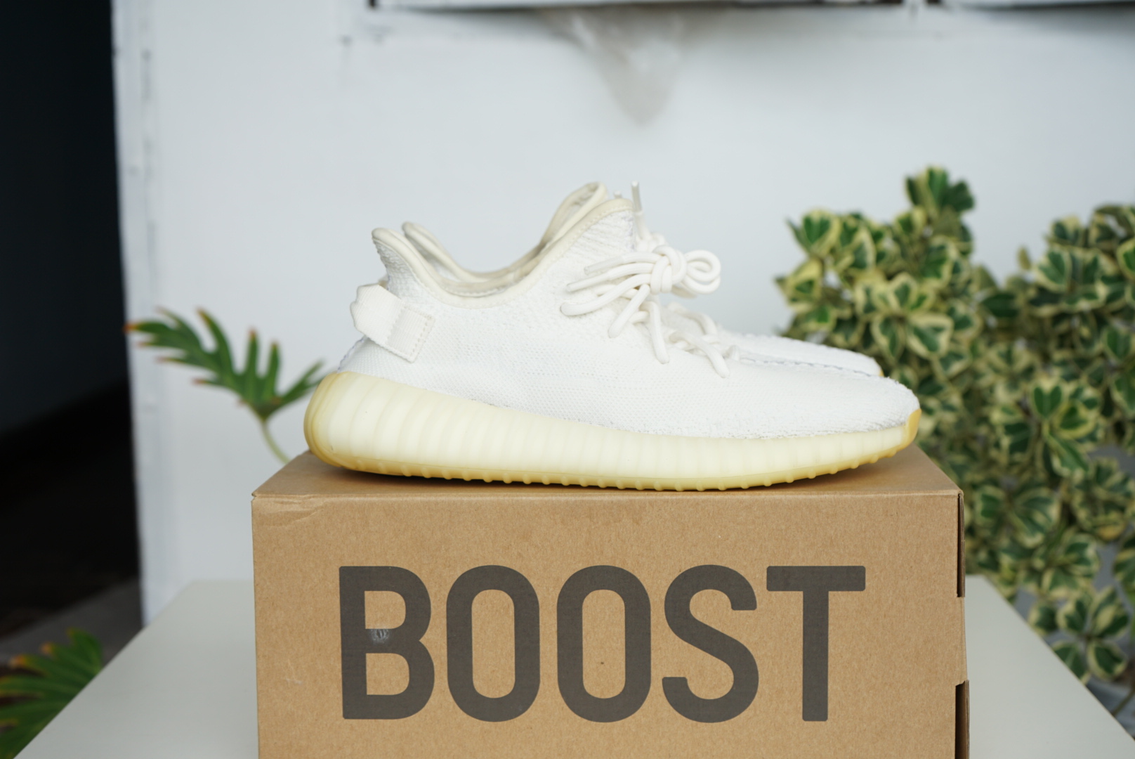 cream v2