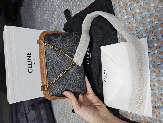 Celine Clutch With Chain In Triomphe Canvas And Lambskin With Gold