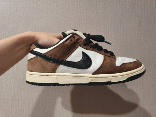 nike trail dunks
