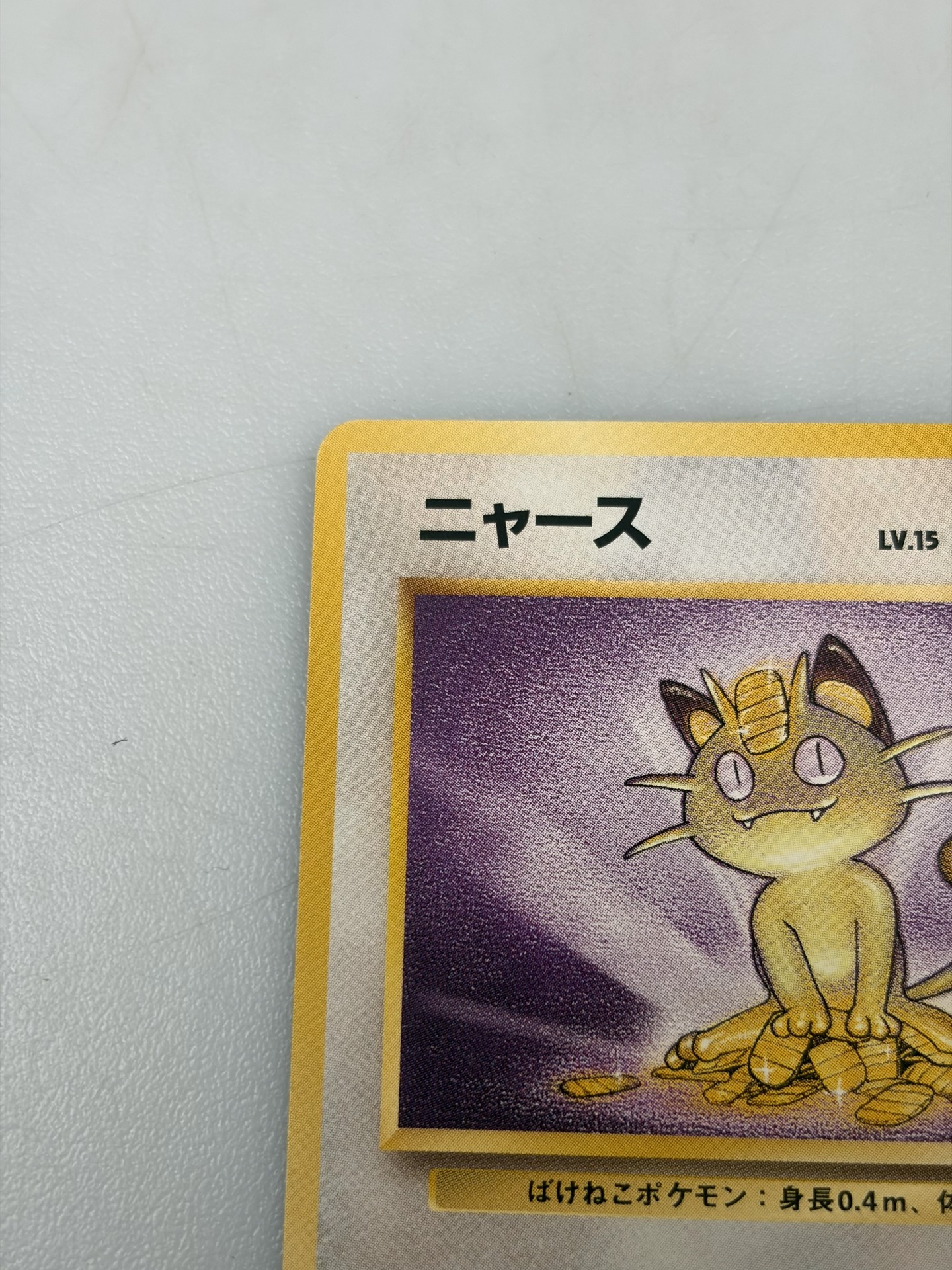 Buy Pokemon Meowth : Old Back [PMCG2 No.052] | Sasom