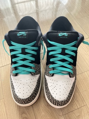 elephant sb dunk low